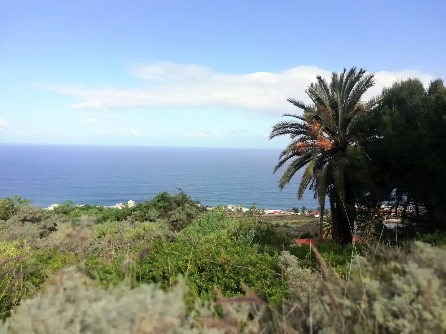 Terreno en venta en Isogue, polígono 7, parcela 39, 1, Punta del Hidalgo