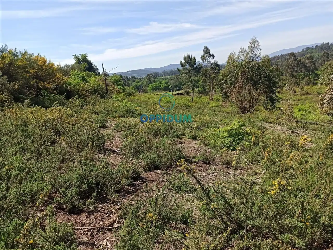 Terreni e lotti in vendita a Lugar Galdrachan, imagen 7