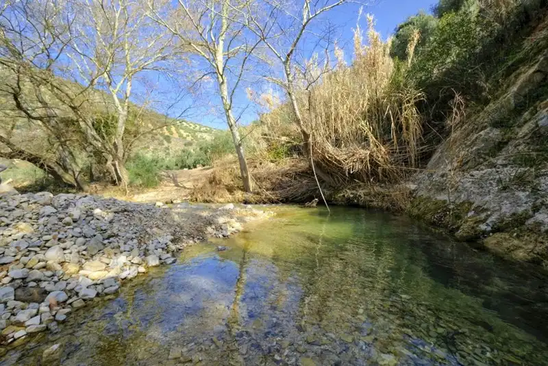 Terreno rústico en venta en Algarinejo, imagen 4