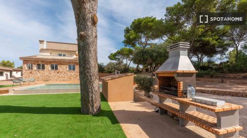 Photo 4 of Room in S'Aranjassa, Palma de Mallorca