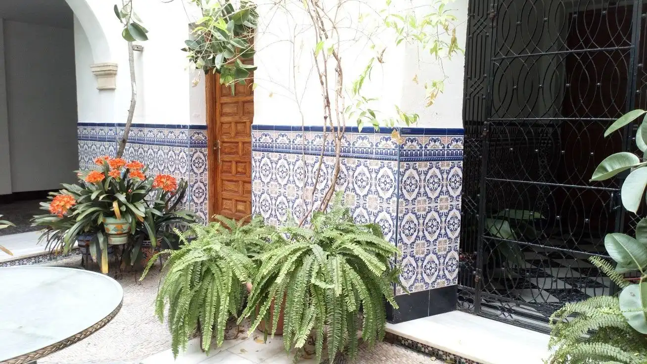 Garden of Houses for sale in Córdoba  with Air Conditioner, Heating and Storage room