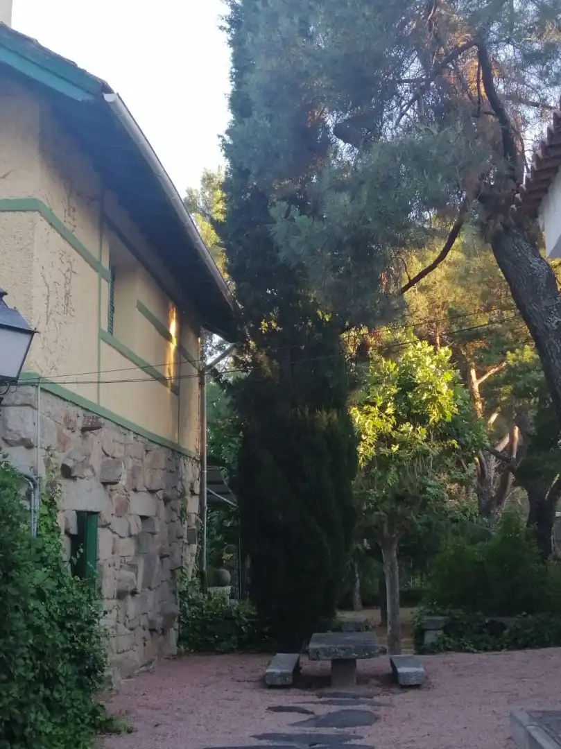 Exterior view of Houses for sale in Alpedrete  with Private garden, Terrace and Storage room