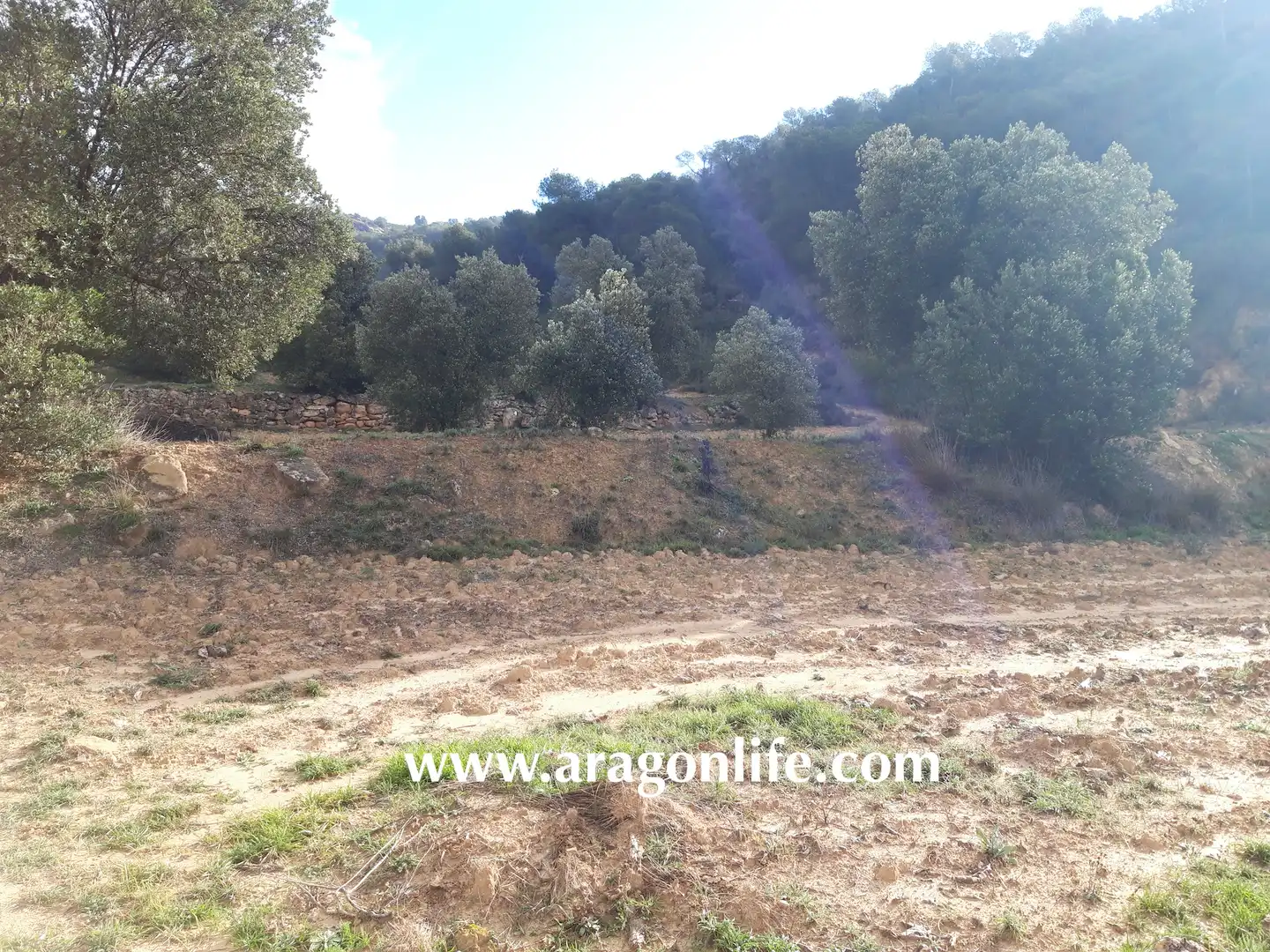 Finca rústica en venta en Batea