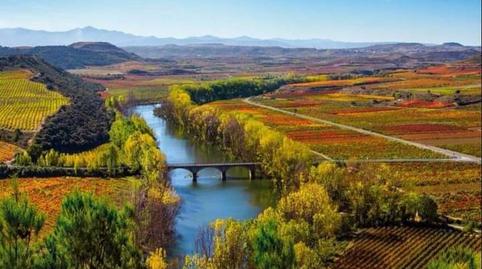 Foto 3 von Fabrikhallen zum Verkauf in Baños de Ebro / Mañueta, Araba - Álava