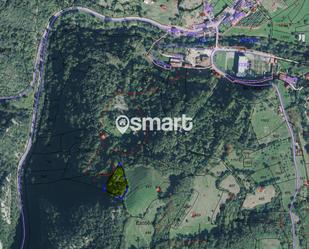 Land for sale in Proaza