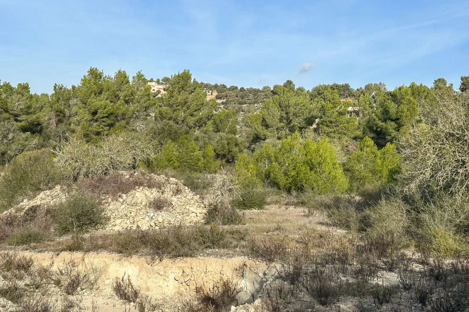Residential land for sale in Manacor Centre, imagen 6