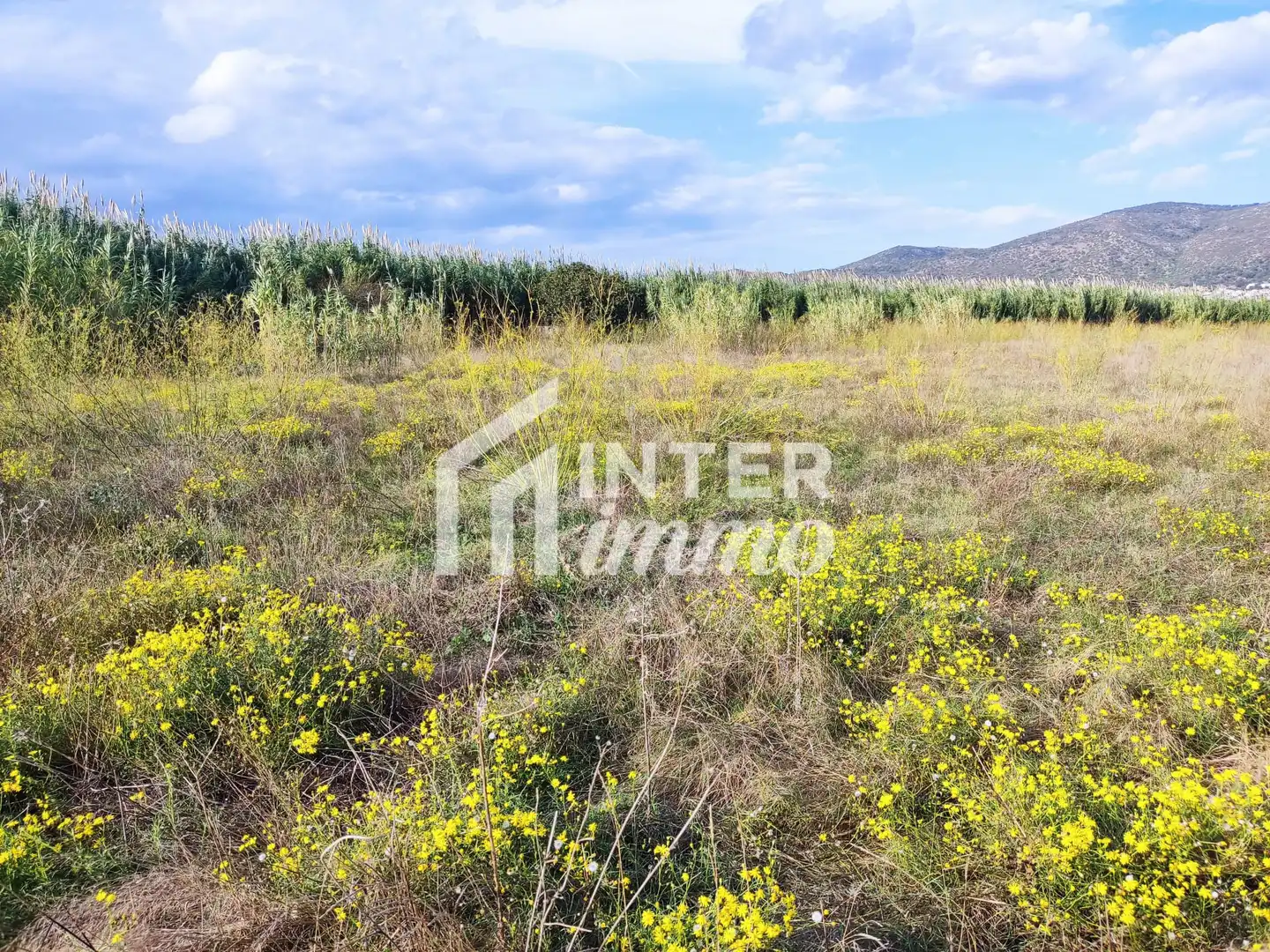 Residential land for sale in Carretera Vilamacolum 0, imagen 3