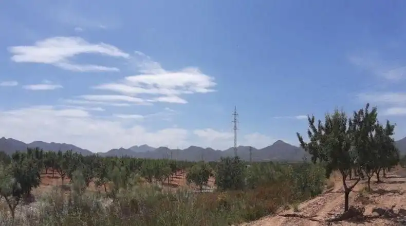 Terreno en venta en Fuente Álamo de Murcia