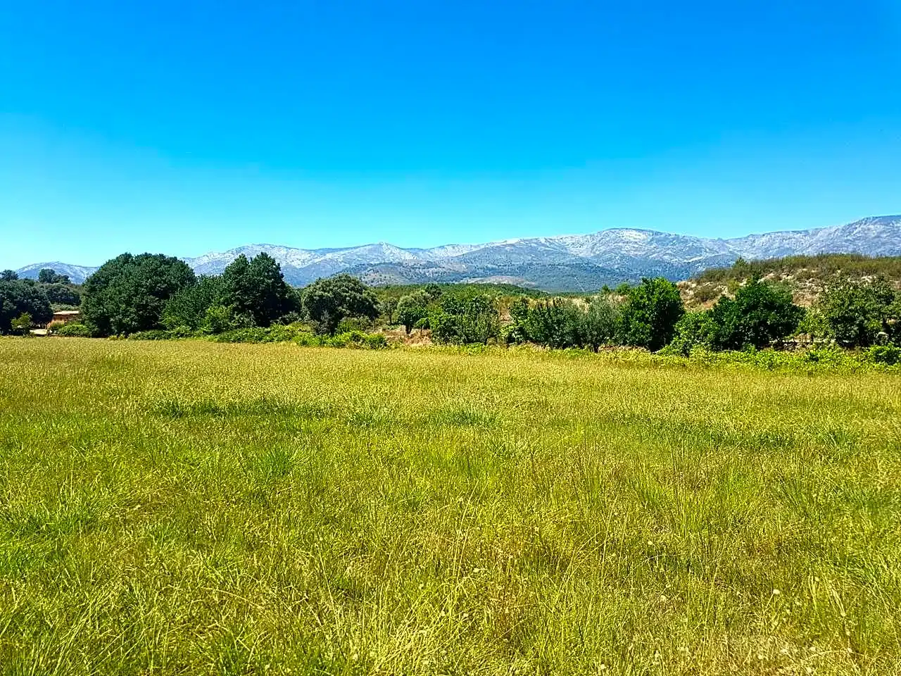Finca rústica en venta en Madrigal De La Vera, 1, Candeleda