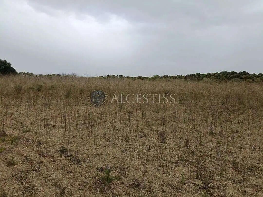 Terreno rústico en venta en Aldea del Fresno, imagen 6