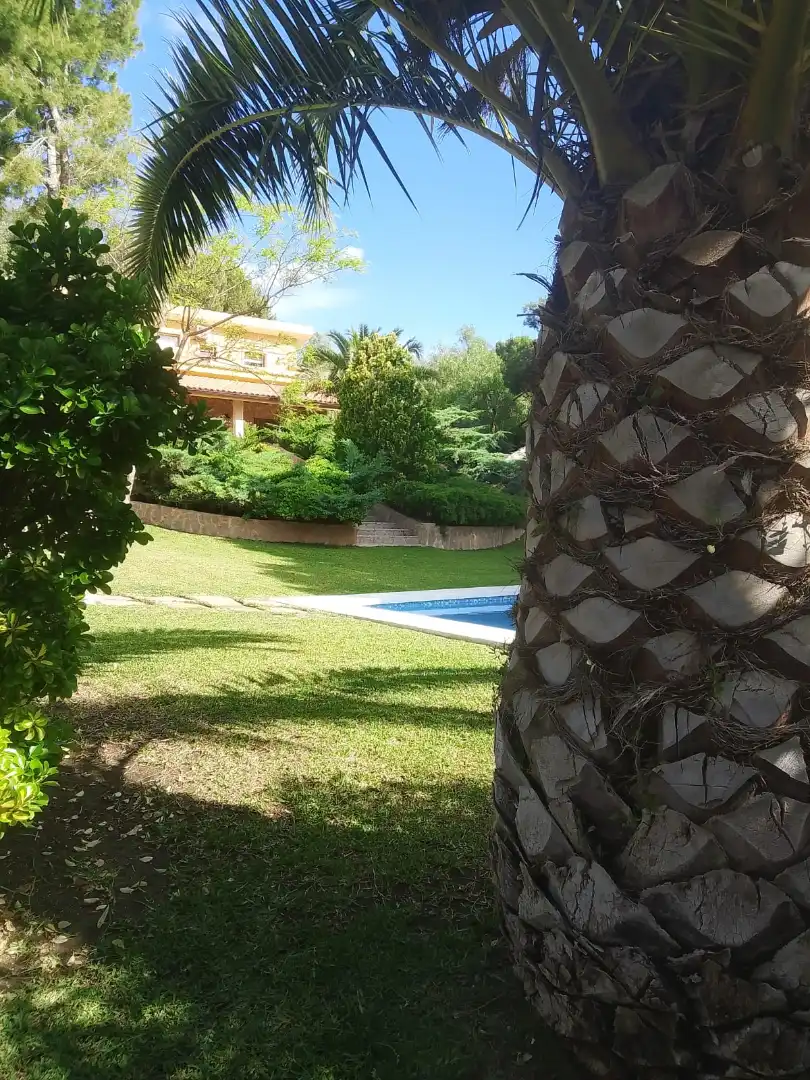 Jardí de Casa o xalet en venda en Tibi amb Aire condicionat, Jardí privat i Parquet
