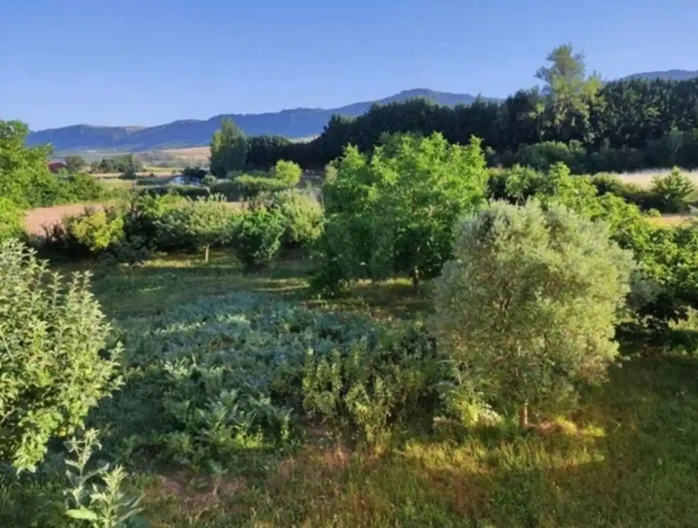 Finca rústica en venda en Quintanaélez amb Calefacció i Terrassa