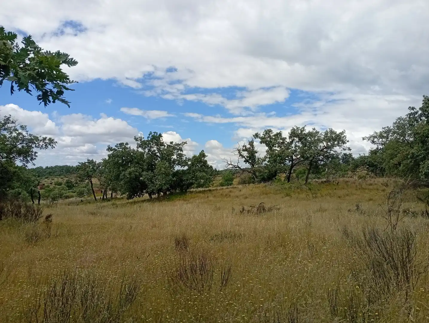 Terreni e lotti in vendita a Villanueva de la Vera, imagen 5
