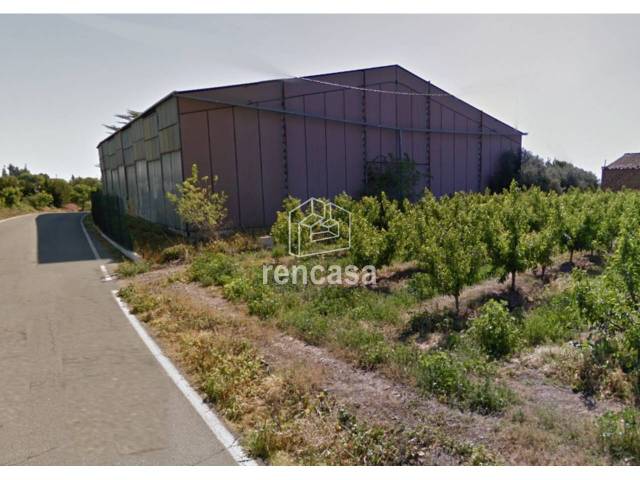 Nave industrial en Alquiler en Camí Municipal de Butsènit, en Butsènit