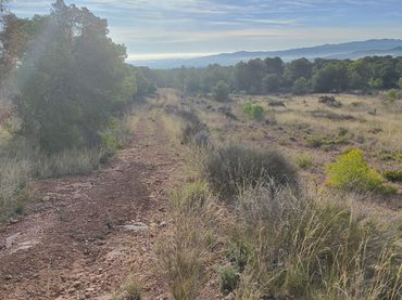 Terreno rustico in vendita a Totana