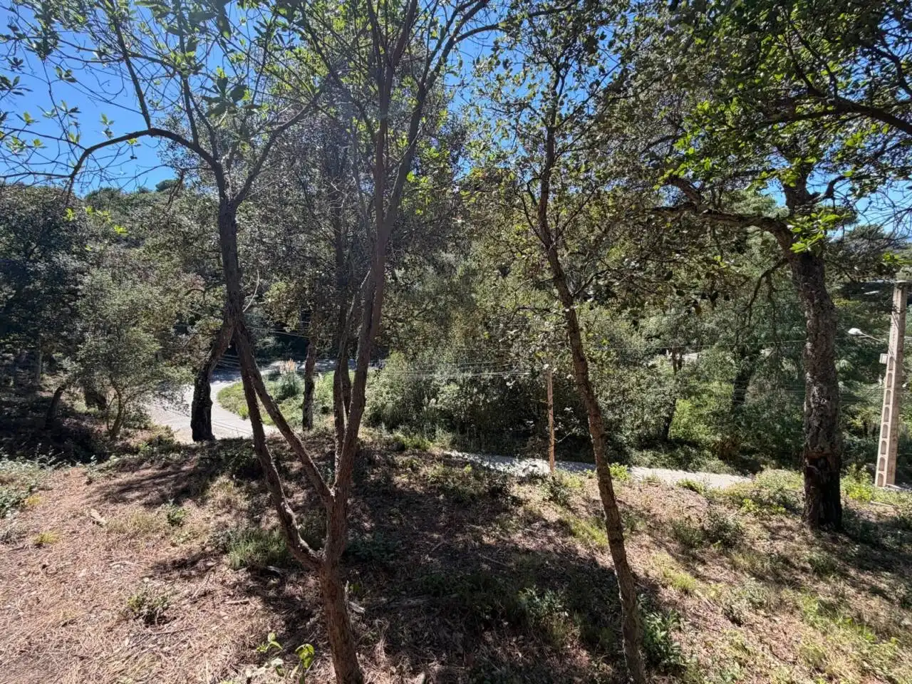Wohnbaugrundstück zum Verkauf in Calle Sant Nicolàs, imagen 6