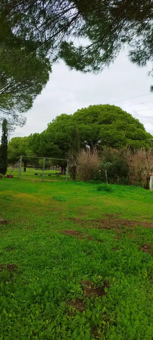 Casa o chalet en venta en Puerto Real