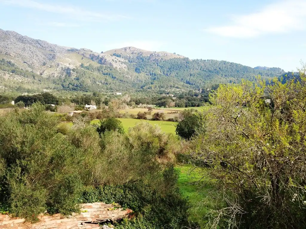 Maison rustique avec jardin à vendre à Pollença Poble, imagen 5