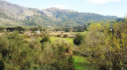 Foto 5 de Finca rústica en venta en Pollença Poble, Pollença