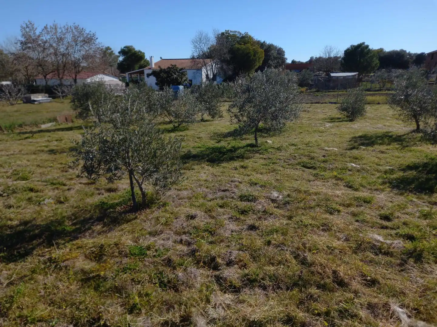 Casa en venda a Valdesalor - Rincón de Ballesteros, imagen 5