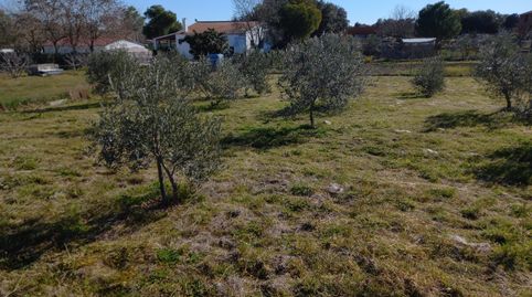 Foto 5 de Casa o chalet en venta en Valdesalor - Rincón de Ballesteros, Cáceres Capital