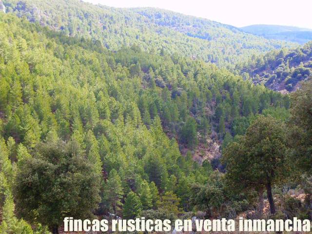 Terreno en Venta en Nerpio