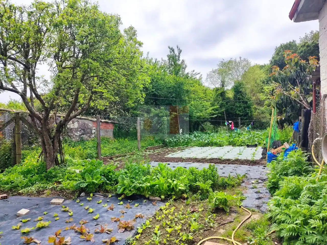 Xalet amb jardí en venda a Coiro, imagen 16
