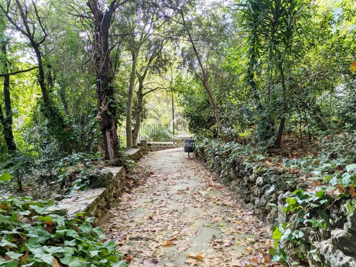 Jardí de Casa o xalet en venda en Jaén amb Aire condicionat, Calefacció i Terrassa