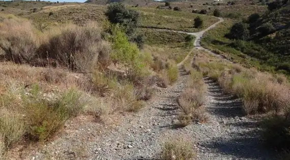 Terrains et parcelles à vendre à PT Paraje El Remendao, imagen 9
