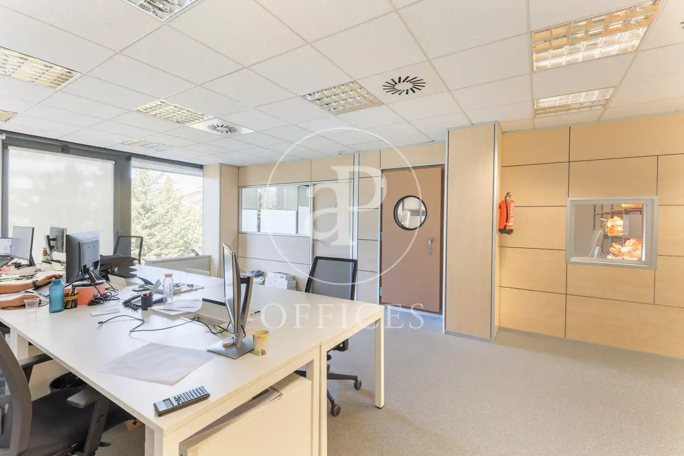 Office space with lift for sale in Avinguda de Cerdanyola, imagen 12