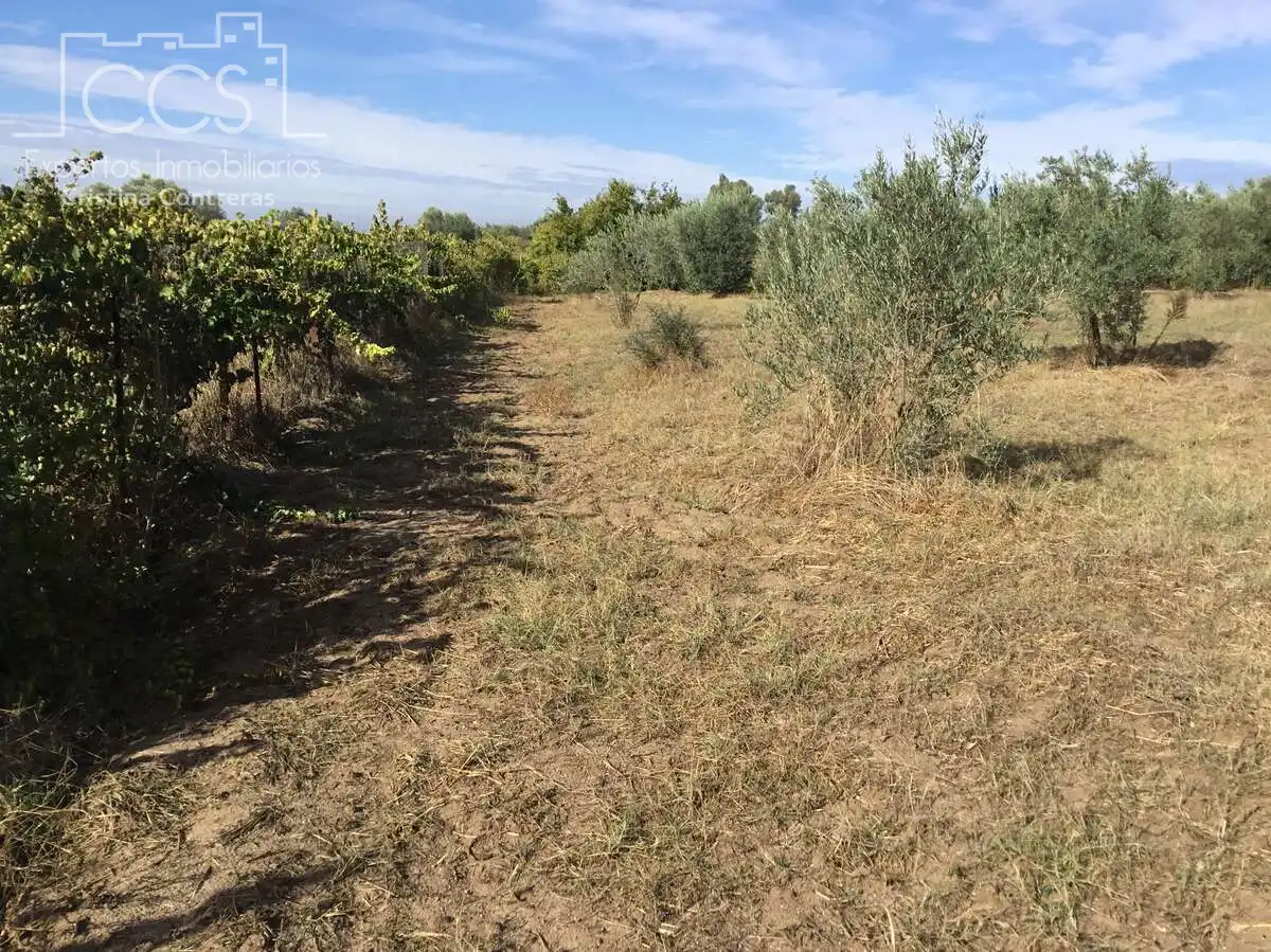 Country house for sale in Almonte ciudad, imagen 10