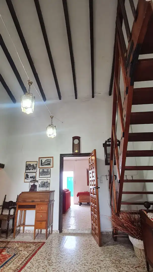 Casa o xalet en venda en Elche / Elx amb Jardí privat, Traster i Moblat