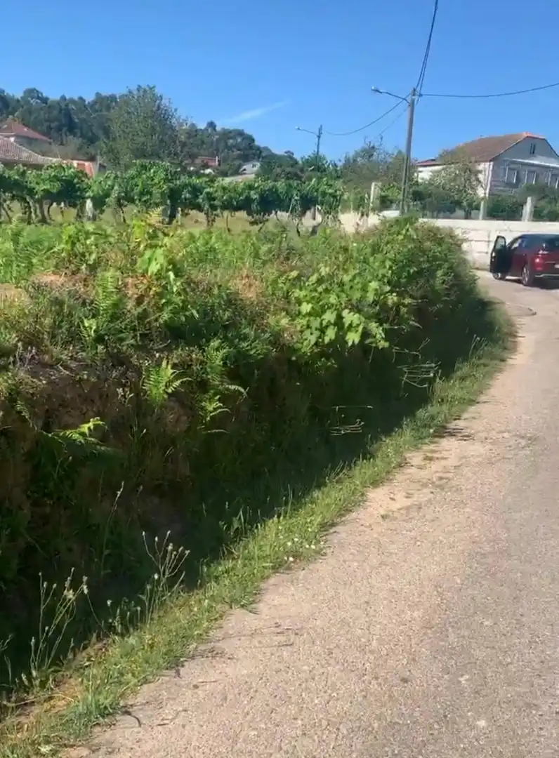 Lands and plots for sale in Barrio Mallón 40, imagen 2