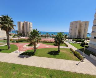 Vista exterior de Apartament de lloguer en Alicante / Alacant amb Terrassa i Piscina comunitària