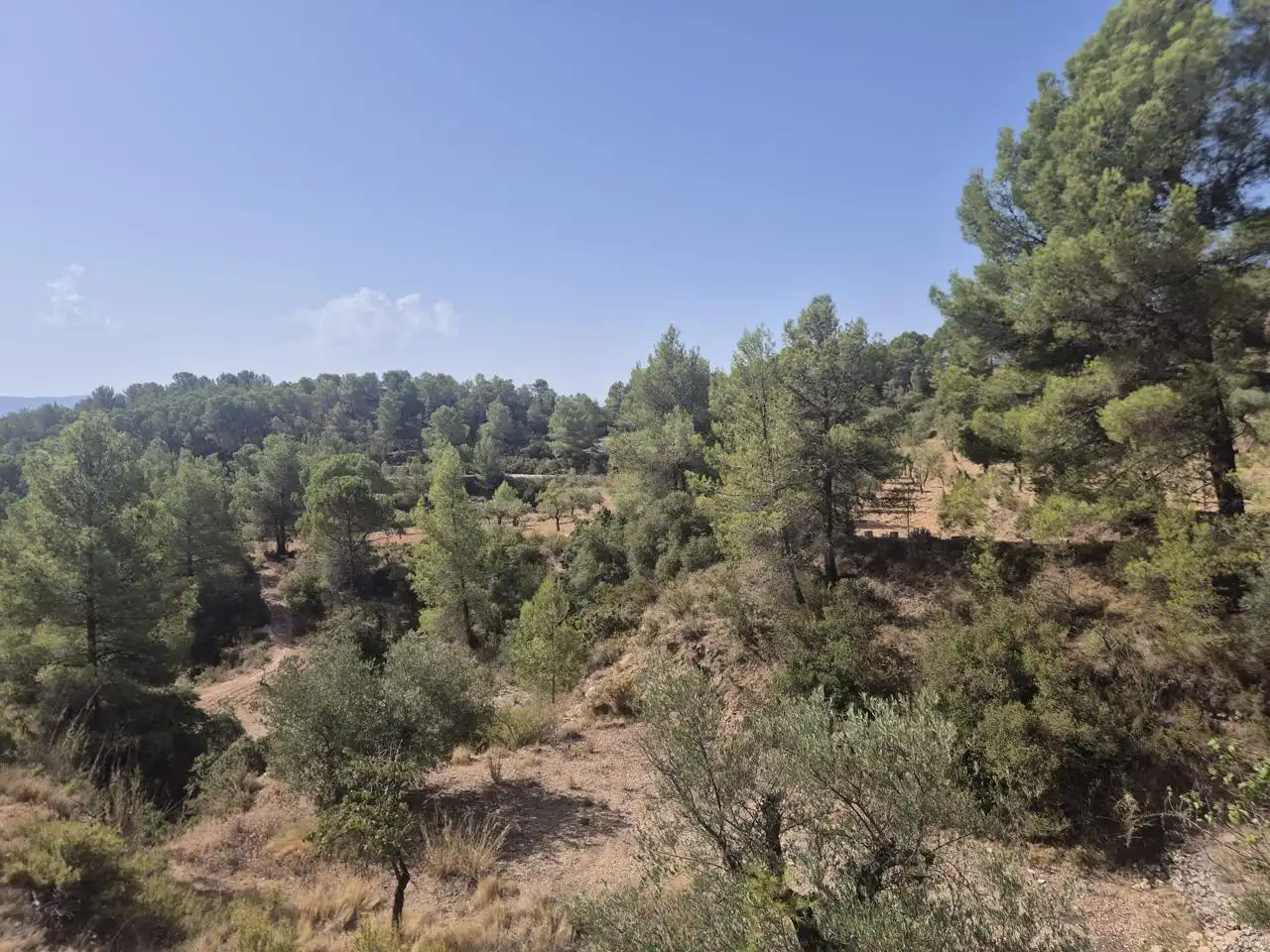 Country homes for sale in Onil