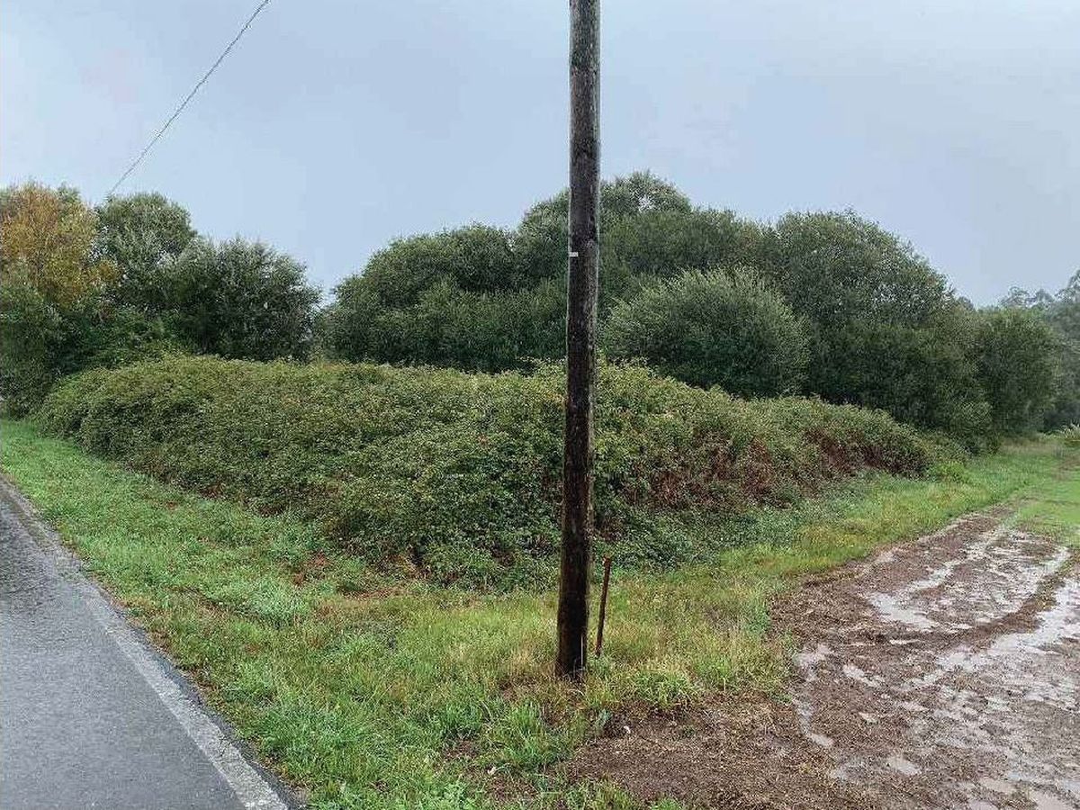 Terreno en venta en Teo
