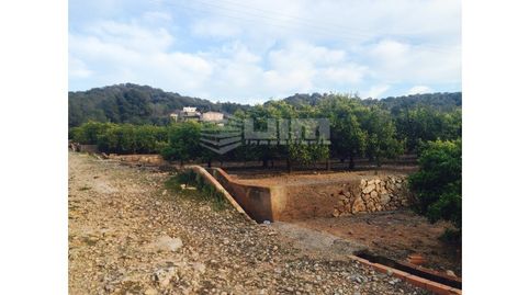 Foto 2 de Casa o chalet en venta en De la Ribera, Nuevo Centro, Sagunto / Sagunt