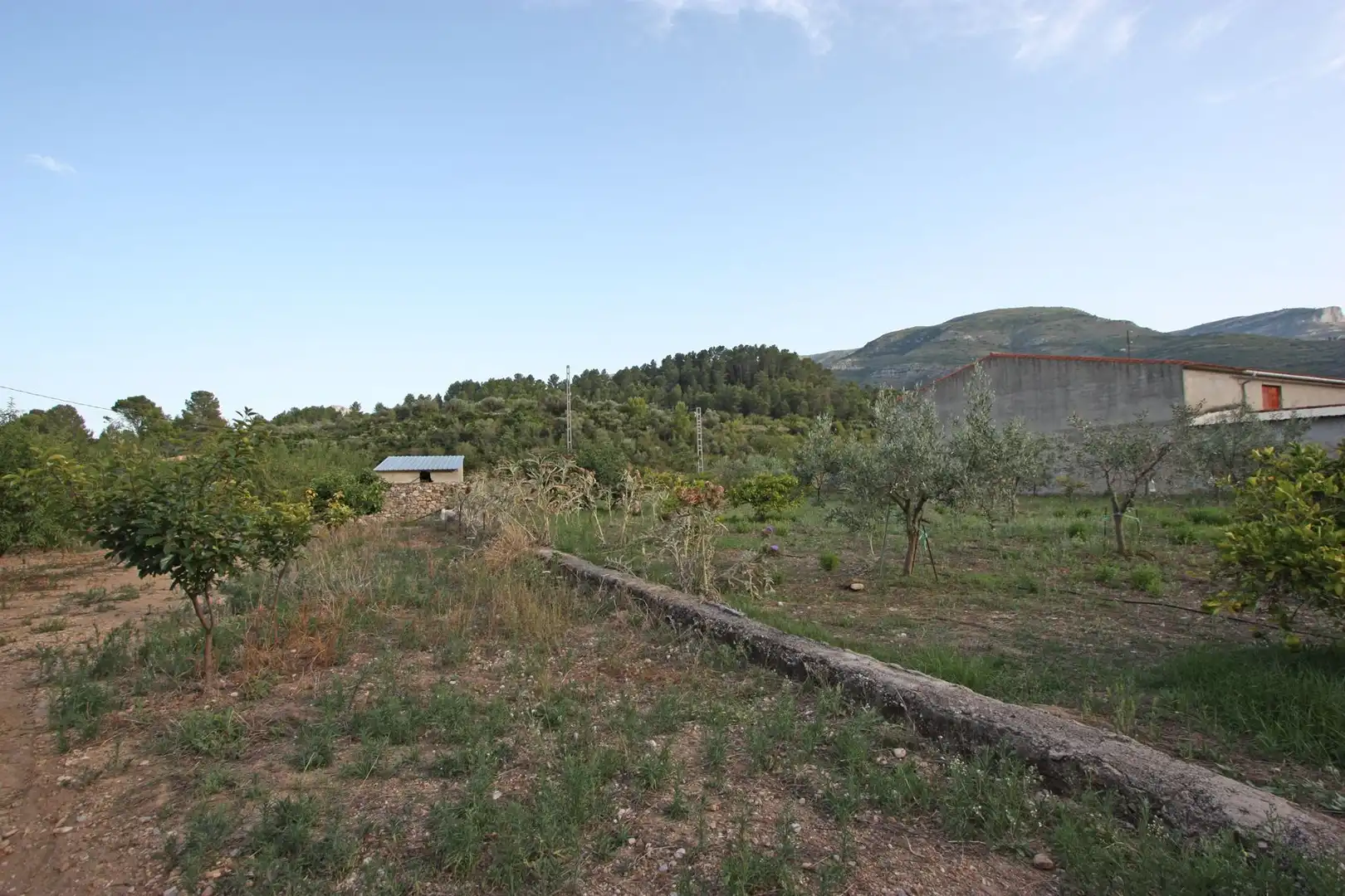 Maison rustique à vendre à Murla, imagen 7