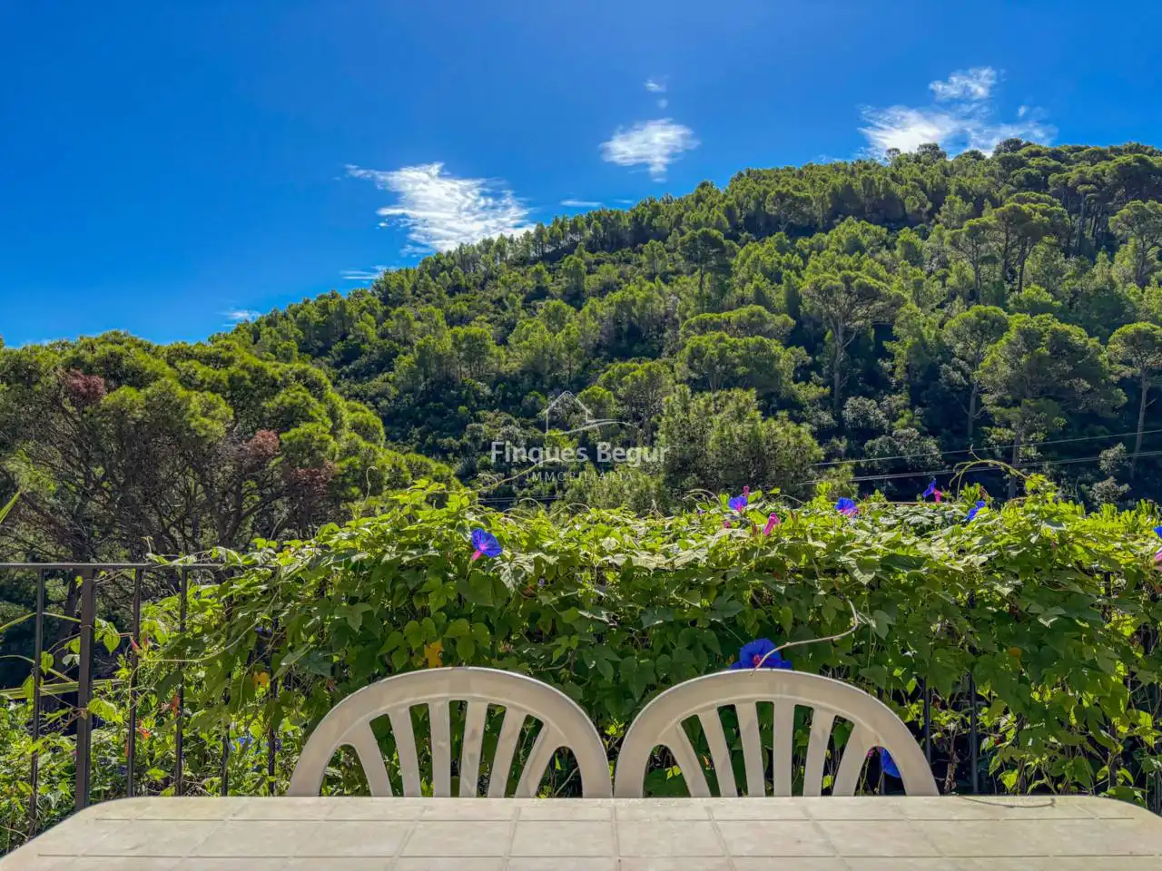 Garden of Apartments for sale in Begur  with Terrace, Furnished and Balcony