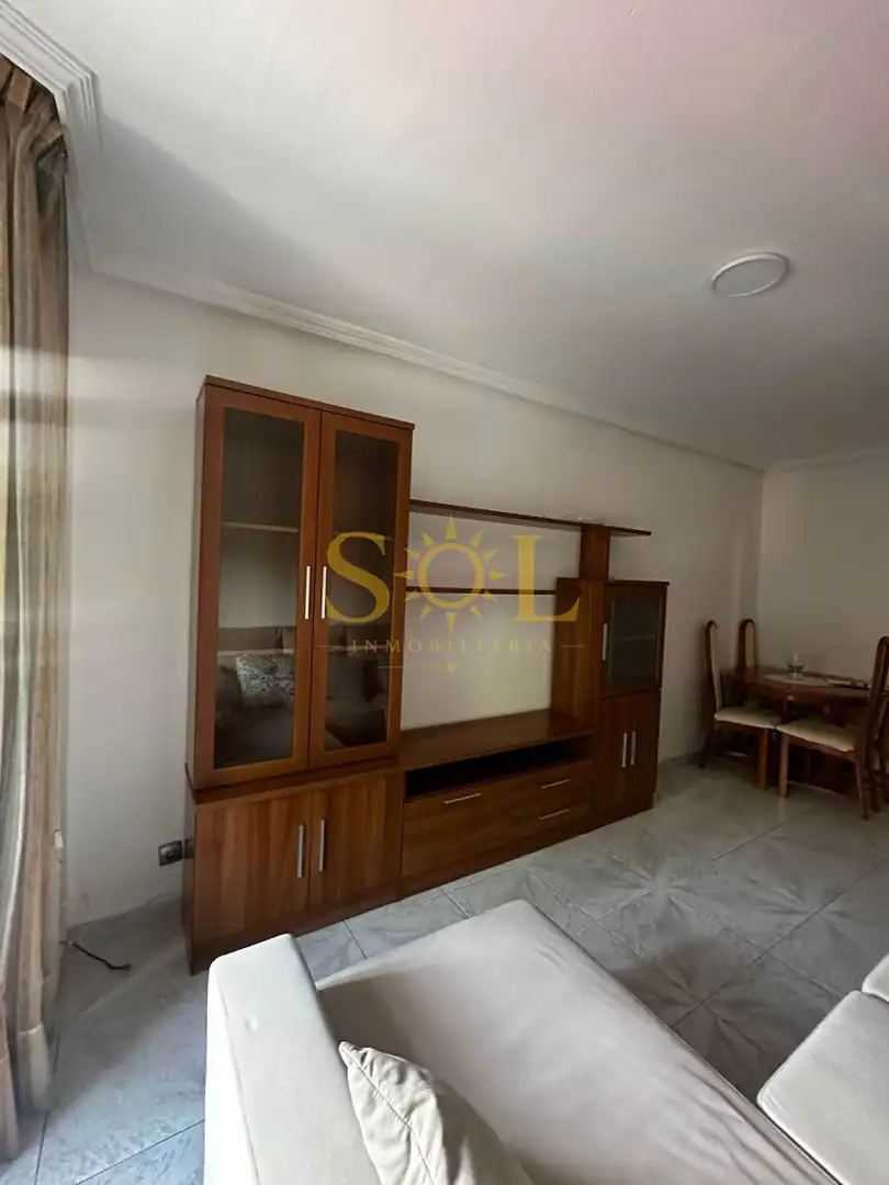 Wohnzimmer von Wohnung zum Verkauf in León Capital  mit Parkett, Terrasse und Möbliert