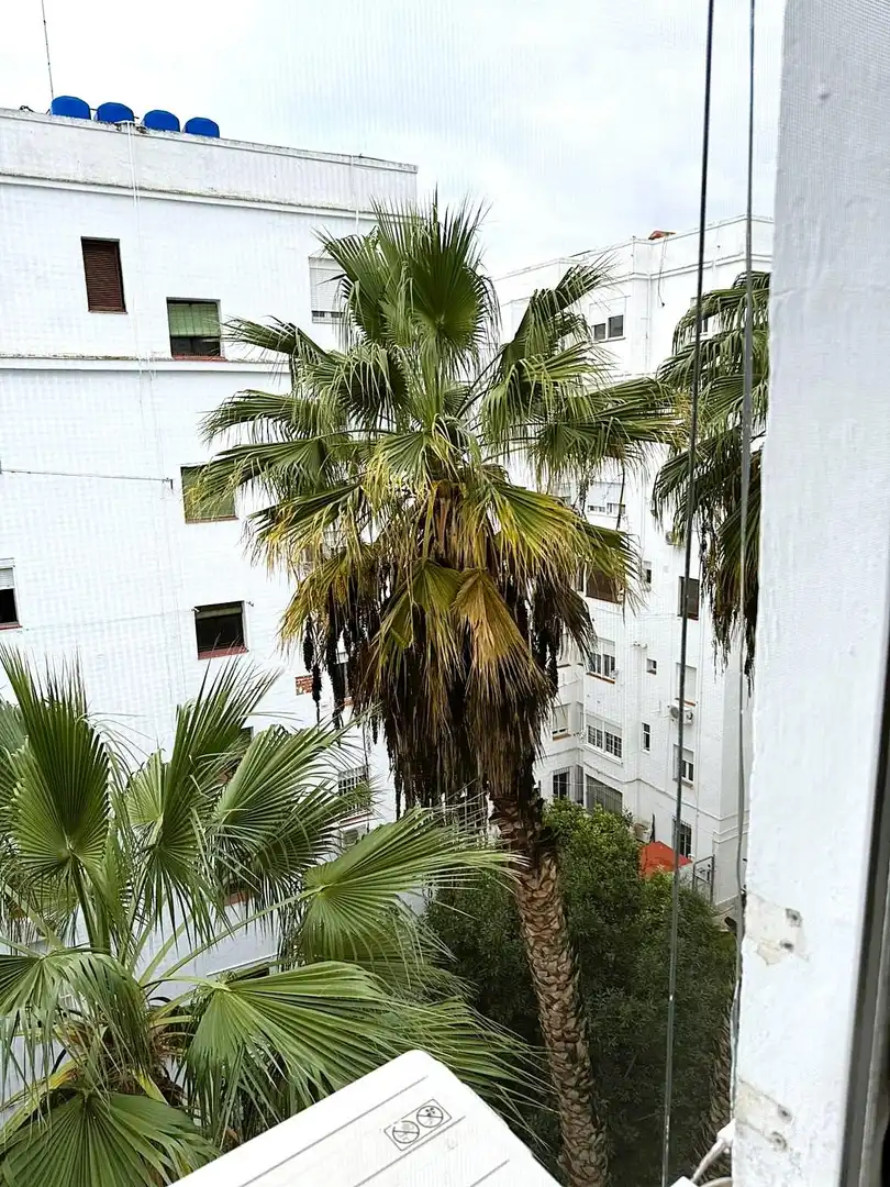 Vista exterior de Piso en venta en Sevilla con Aire acondicionado, Terraza y Trastero