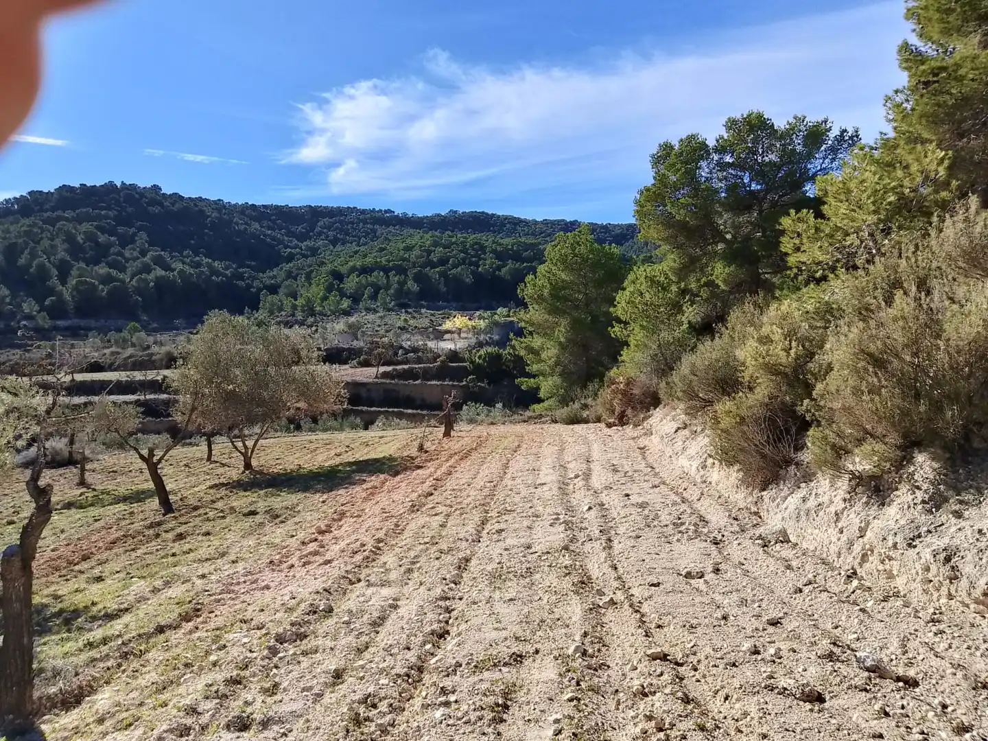 Terreno rustico in vendita a Carrer la Creu, imagen 21