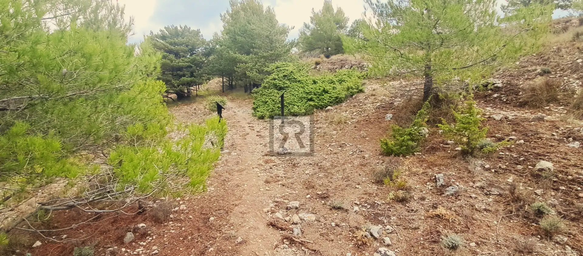 Terrain rustique à vendre à Coroneta 30, imagen 18