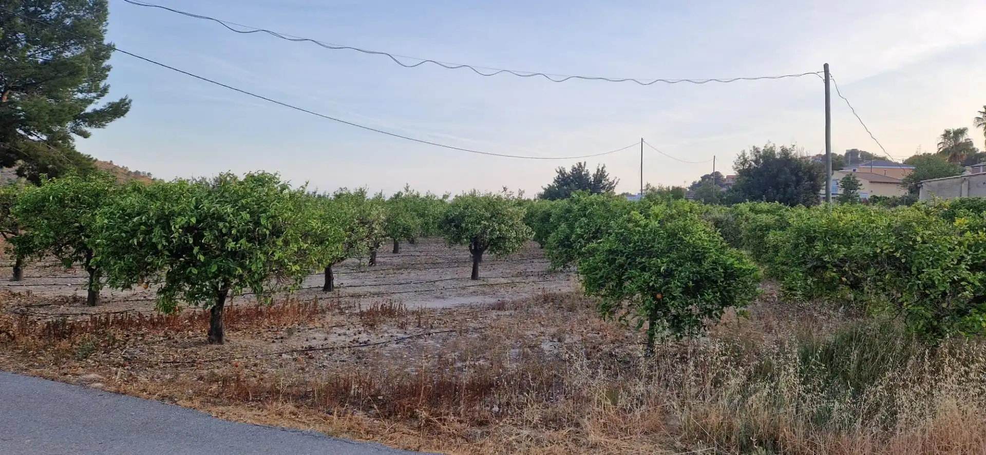 Finca rústica en venta en Aigües con Jardín privado
