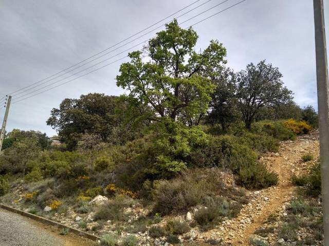 Terreno residencial en Venta en Diseminat Sant Josep Fontdepou en Àger