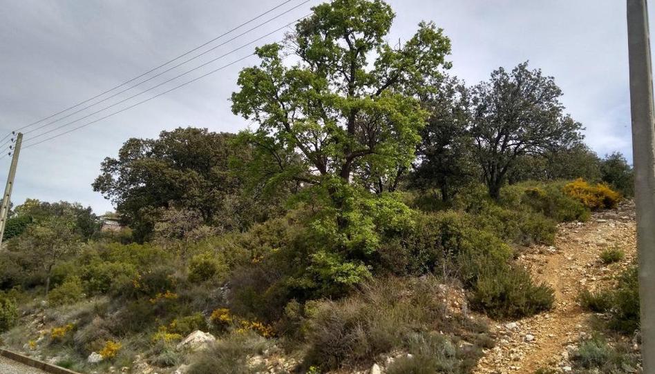 Foto 1 de Residencial en venta en Diseminat Sant Josep Fontdepou, Àger, Lleida