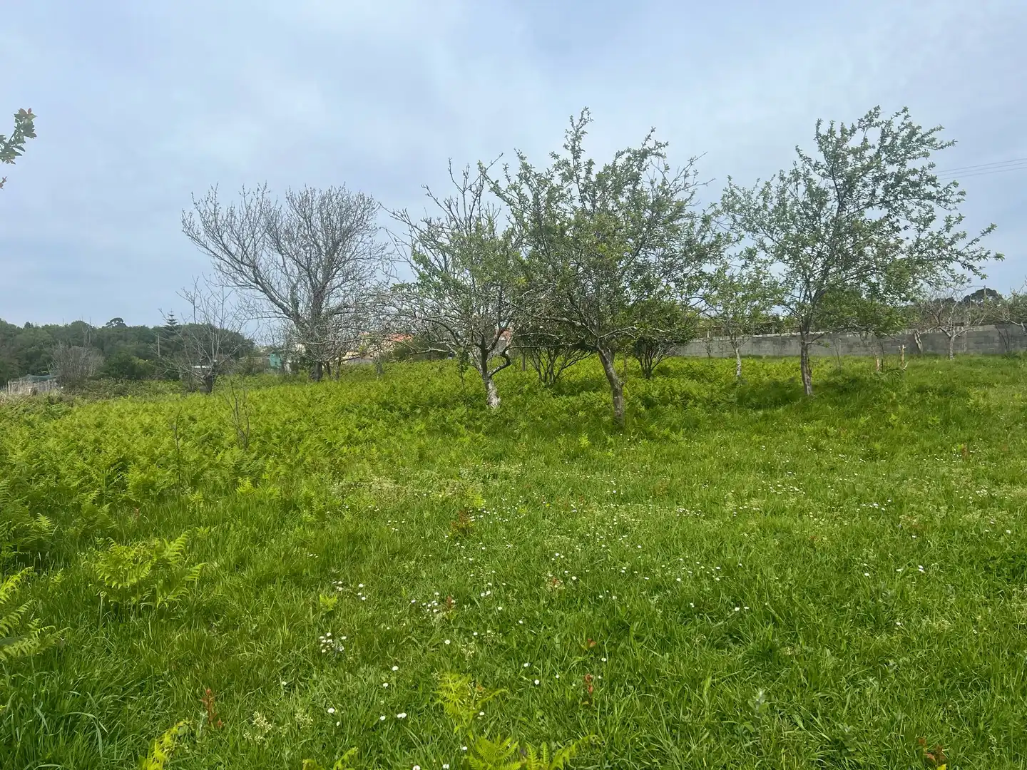 Terrenys i solars en venda a A Malata - Catabois - Ciudad Jardín