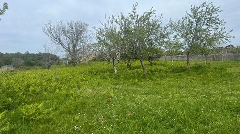 Imatge 1 de l'anunci