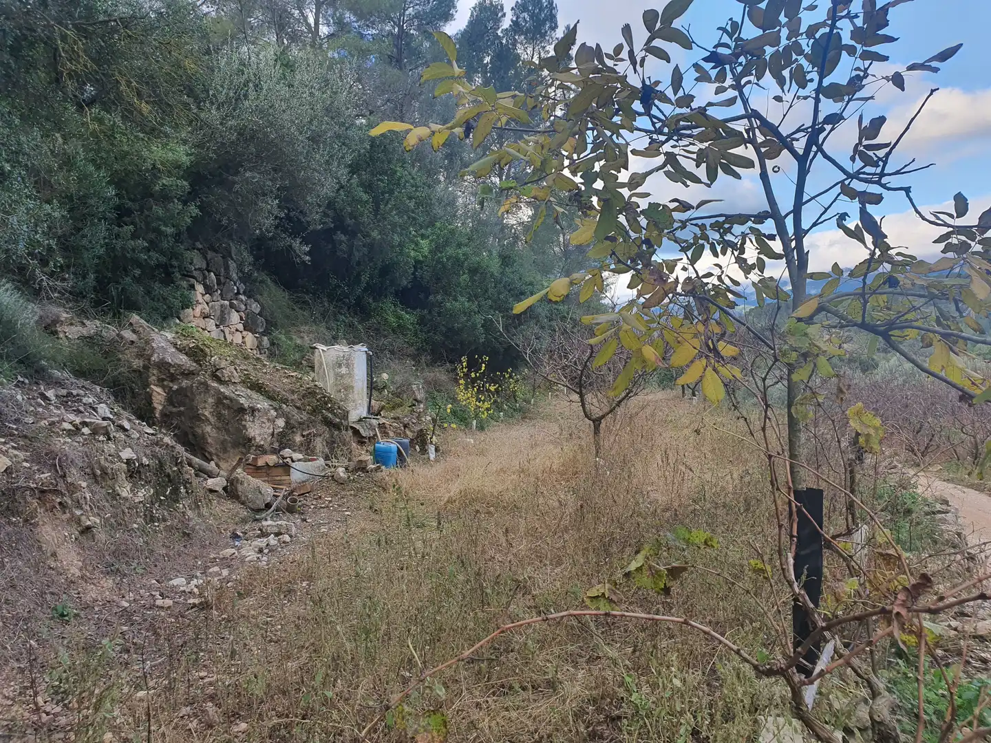 Terreno rústico en venta en Benifallet, imagen 10