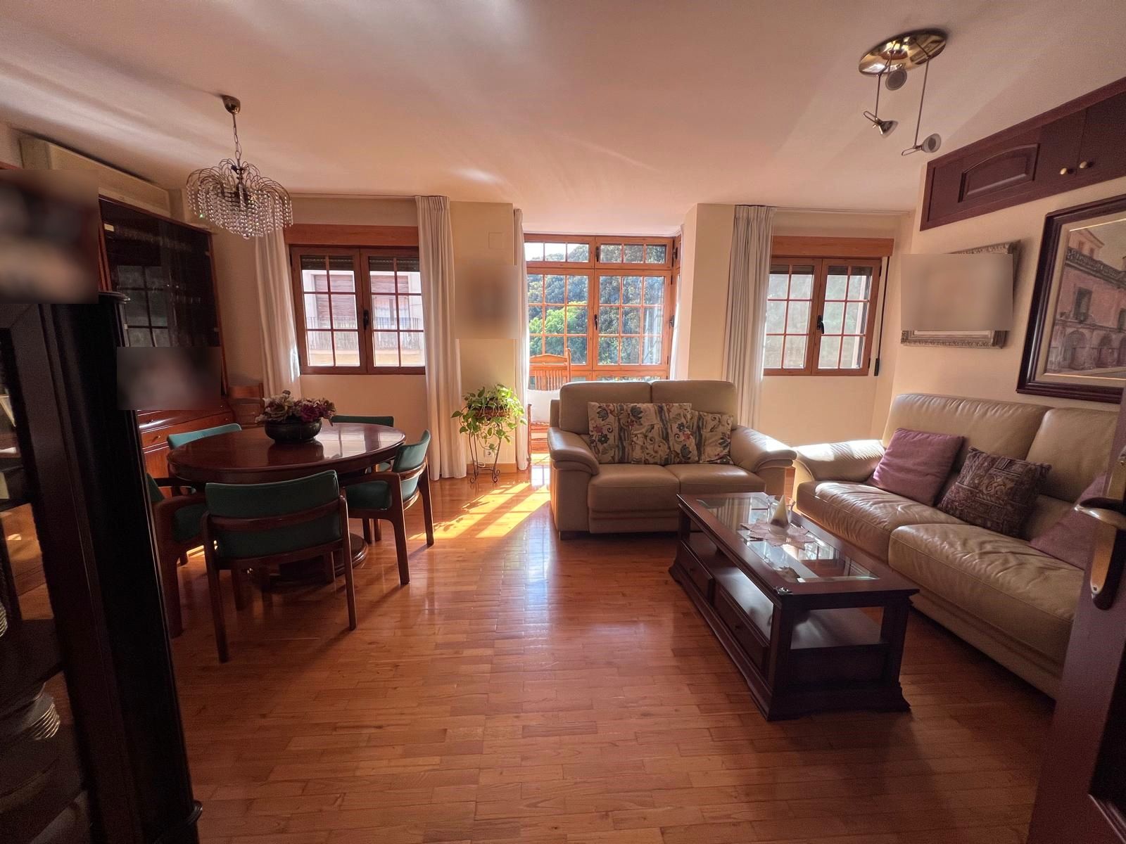 Sala d'estar de Àtic en venda en  Murcia Capital amb Aire condicionat, Calefacció i Parquet